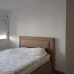 Apartment Modern With Balcony Close To Center Podgorica